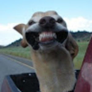 Meet your Posher, Philip